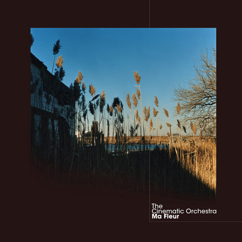 The Cinematic Orchestra- Ma Fleur (Vinyl) [ vinyl ]