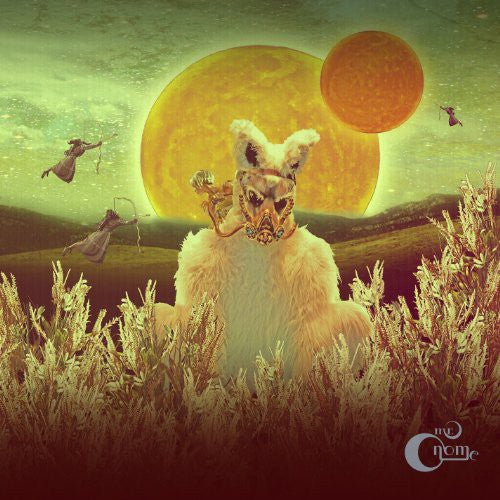 Mr Gnome- Madness in Miniature (Vinyl) [ vinyl ]