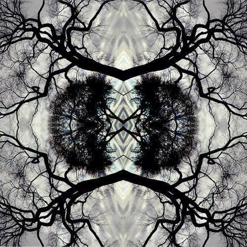 Adam Rudolph- Sonic Mandala Go: Organic Orchestra (Vinyl) [ vinyl ]