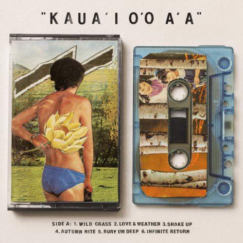 Gentle Friendly- Kaua'i O'O A'a (Vinyl) [ vinyl ]