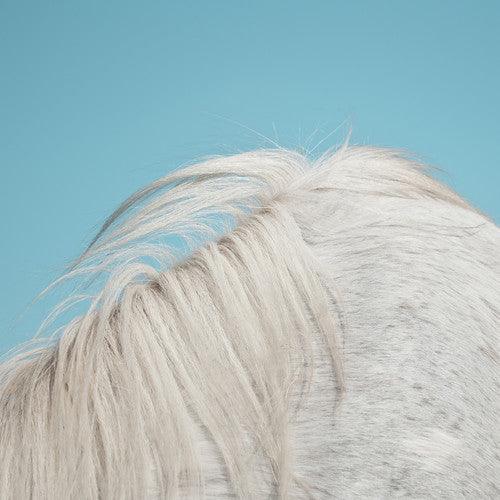 Widowspeak- All Yours (Vinyl) [ vinyl ]