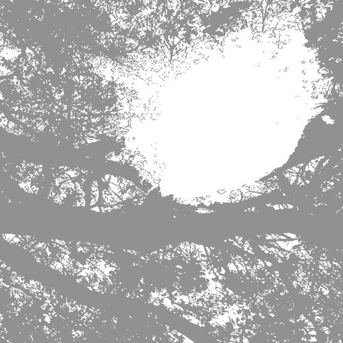 Comets on Fire- Field Recordings from the Sun (Vinyl) [ vinyl ]