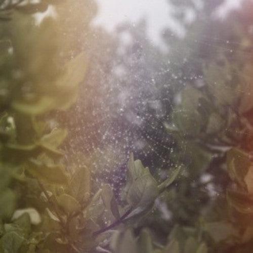 Posse- Perfect H / Voices (Vinyl) [ vinyl ]