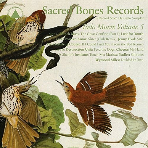 Various Artists- TODO MUERE VOL 5 (Various Artists) (Vinyl) [ vinyl ]