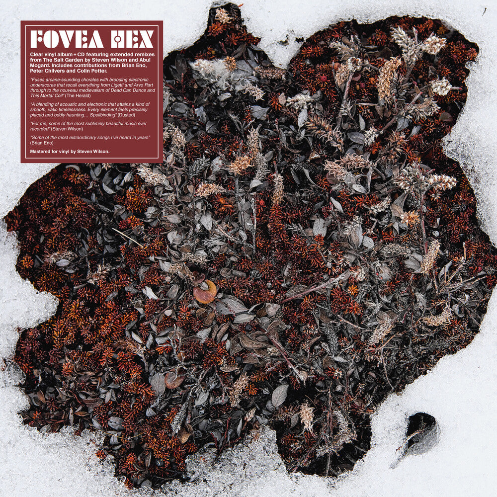 Fovea Hex- Salt Garden (Clear Vinyl) (W/Cd) [Clear Vinyl] [ vinyl ]