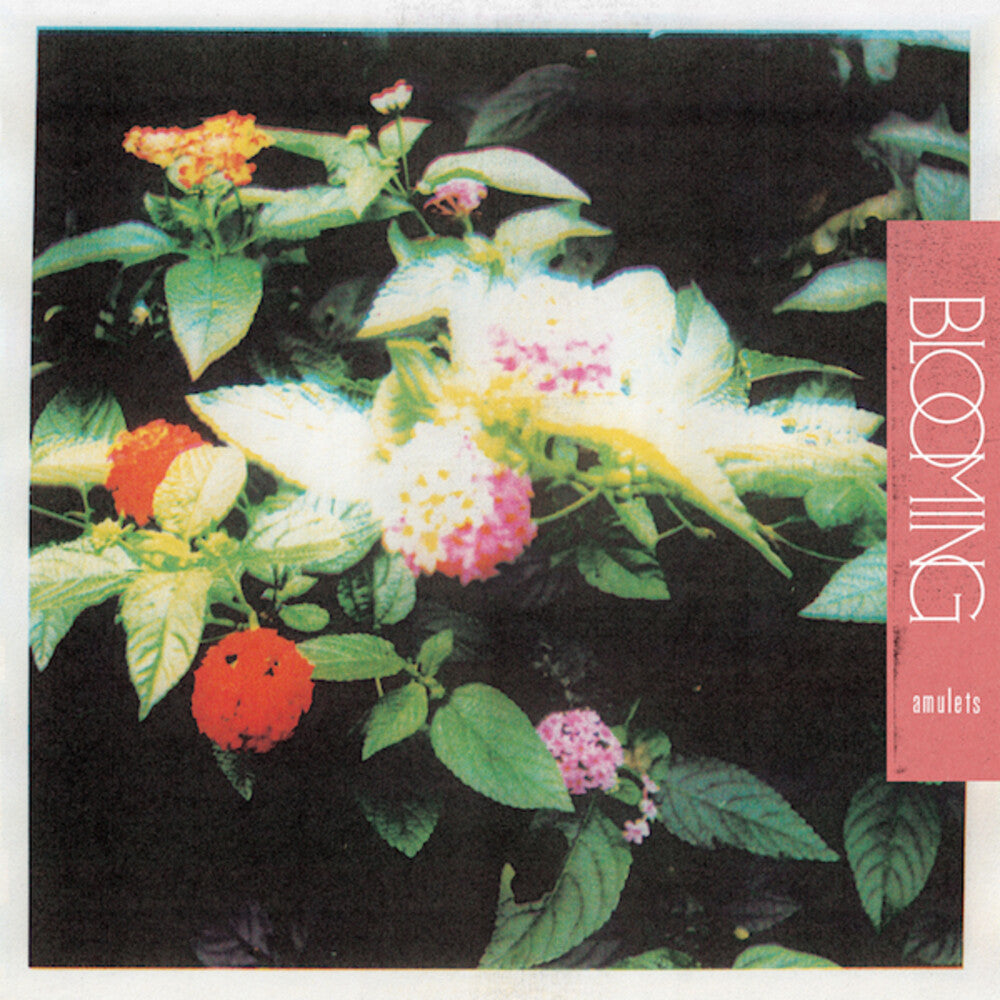 Amulets- Blooming (Vinyl) [ vinyl ]
