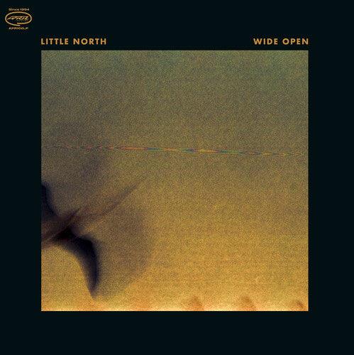 Supreme Court- A Supreme Vibe (Vinyl) [ vinyl ]