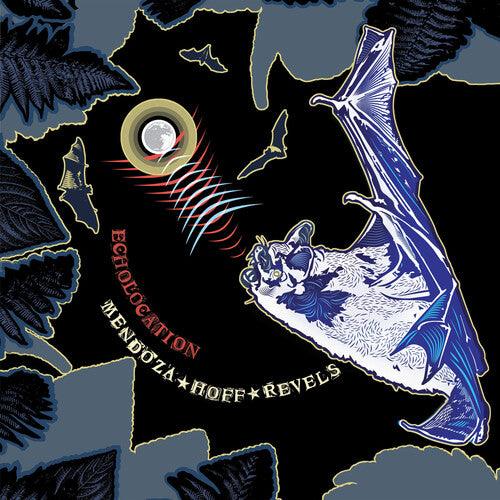 Ava Mendoza & Devin Hoff Revels- Echolocation (Vinyl) [ vinyl ]
