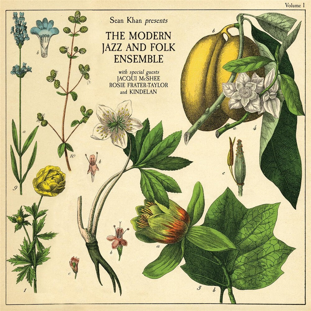 Sean Khan- Sean Khan Presents The Modern Folk & Jazz Ensemble (Vinyl) [ vinyl ]