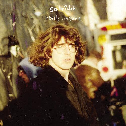 Sentridoh- Really Insane : A Lou Barlow Compendium (Vinyl) [ vinyl ]
