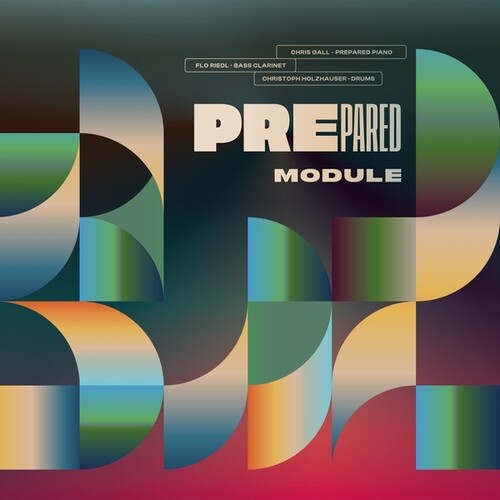 Prepared- Module (Vinyl) [ vinyl ]