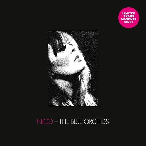 Live And In Session 1982 (Vinyl) [ vinyl ]