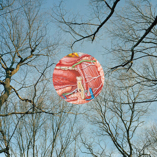 They Might Be Giants- Glean (Vinyl) [ vinyl ]
