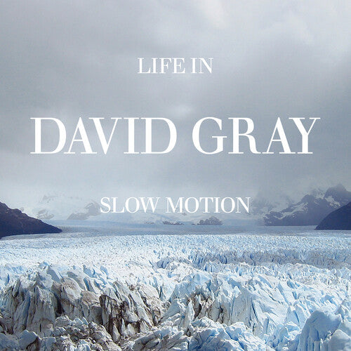 David Gray- Life in Slow Motion (20th Anniversary Edition) (Vinyl) [ vinyl ]
