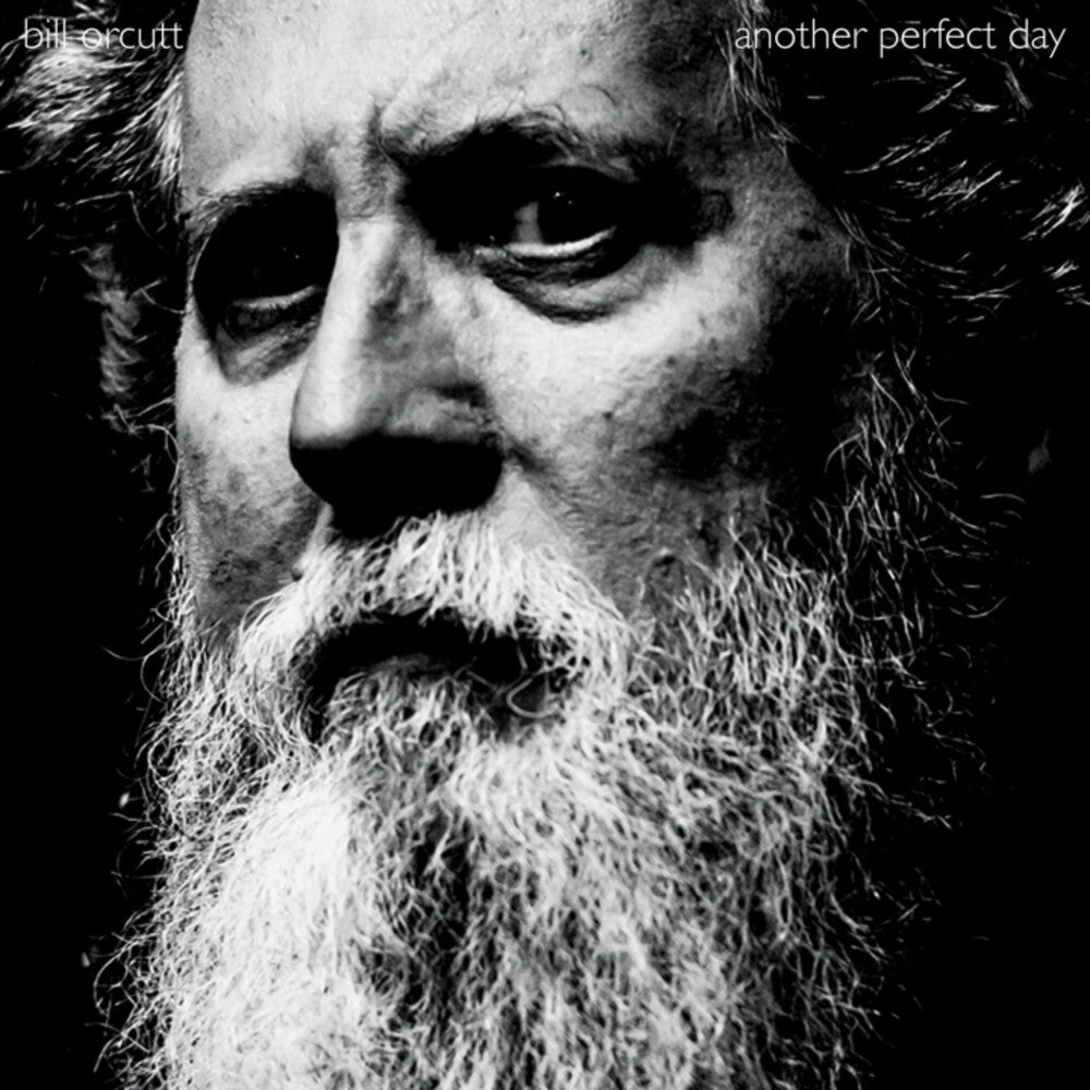 Bill Orcutt- Another Perfect Day (Vinyl) [ vinyl ]