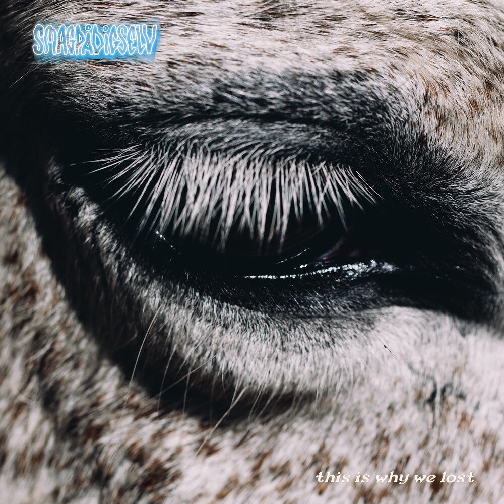 Smag På Dig Selv- This Is Why We Lost (Vinyl) [ vinyl ]