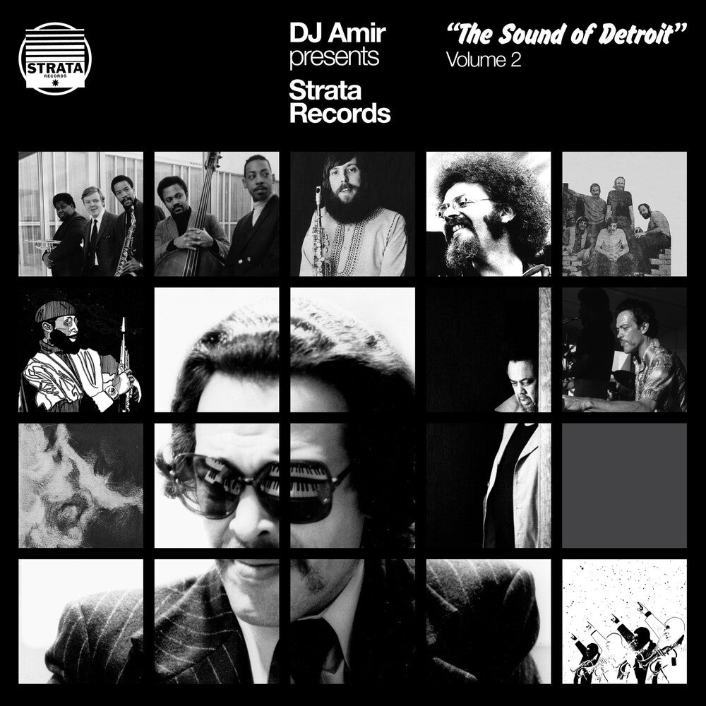 Dj Amir- Dj Amir Presents Strata Records: Sound Of Detroit (Vinyl) [ vinyl ]