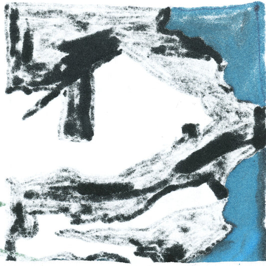 Accessory- Dust (Vinyl) [ vinyl ]
