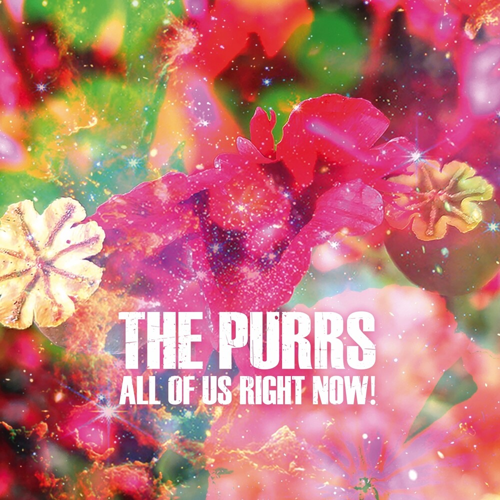 Purrs- All Of Us Right Now (Vinyl) [ vinyl ]