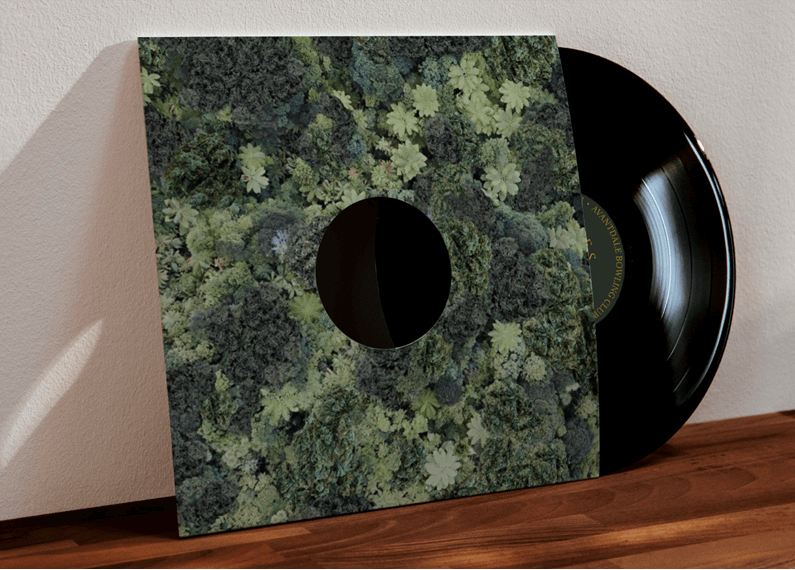 Avantdale Bowling Club - Trees (Vinyl) [ vinyl ]