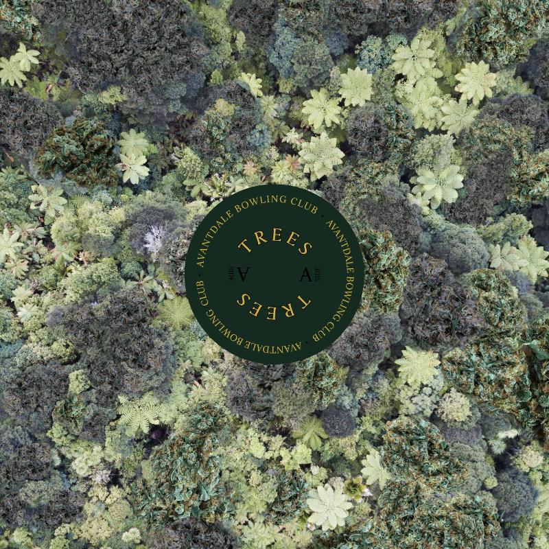 Avantdale Bowling Club - Trees (Vinyl) [ vinyl ]