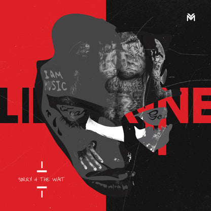 Lil Wayne - Sorry 4 The Wait (Vinyl) [ vinyl ]