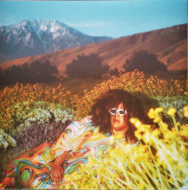 Brittany Howard- What Now (Vinyl) [ vinyl ]