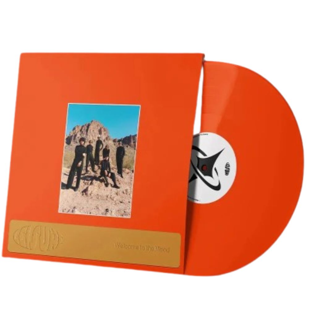 Leisure - Welcome to the Mood - Orange Vinyl LP Record [ vinyl ]