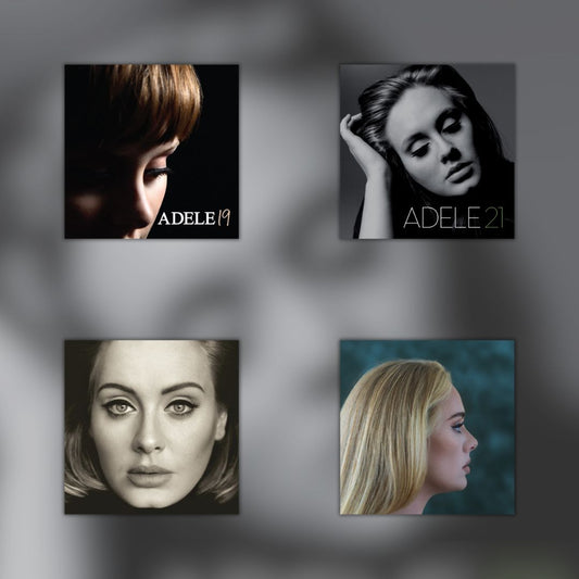 Adele - Vinyl LP Record Bundle [ vinyl ]