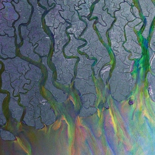 Alt-J - An Awesome Wave - Vinyl LP Record [ vinyl ]