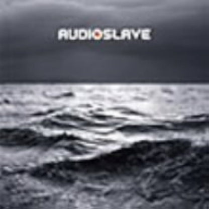 Audioslave - Out Of Exile - Vinyl LP Record [ vinyl ]