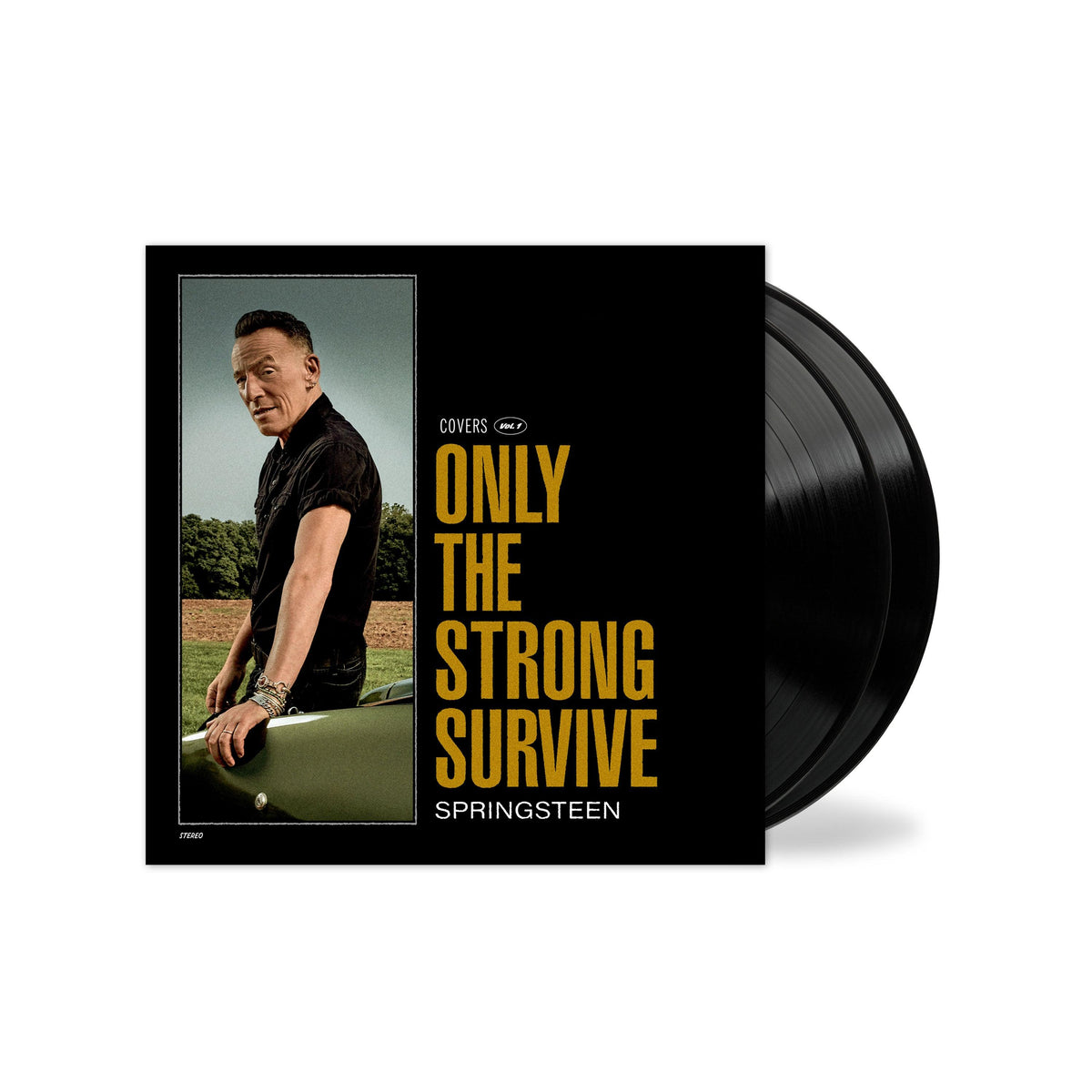 Bruce Springsteen- Only The Strong Survive (Vinyl) [ vinyl ]
