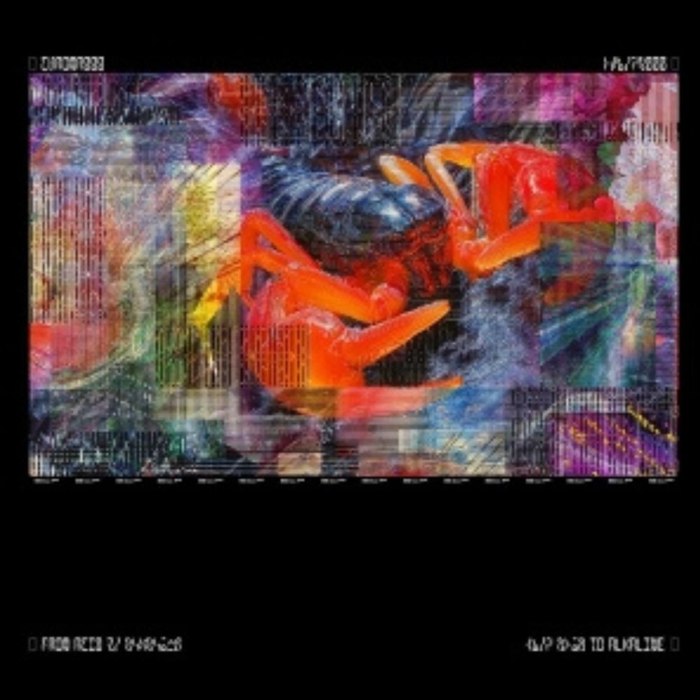 Bicep - Chroma 000 - Vinyl LP Record [ vinyl ]