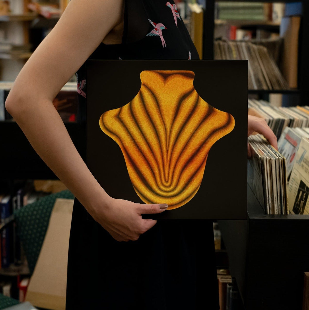 Big Red Machine - Big Red Machine - Vinyl LP Record [ vinyl ]