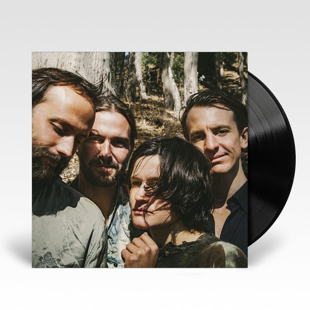 Big Thief - Two Hands - Vinyl LP Record [ vinyl ]