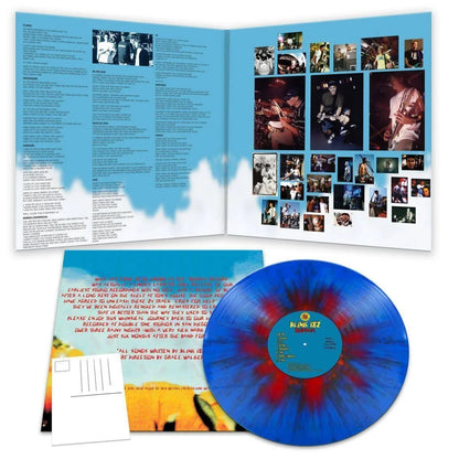 Blink-182 - Buddha - Blue & Red Splatter - Vinyl LP Record [ vinyl ]