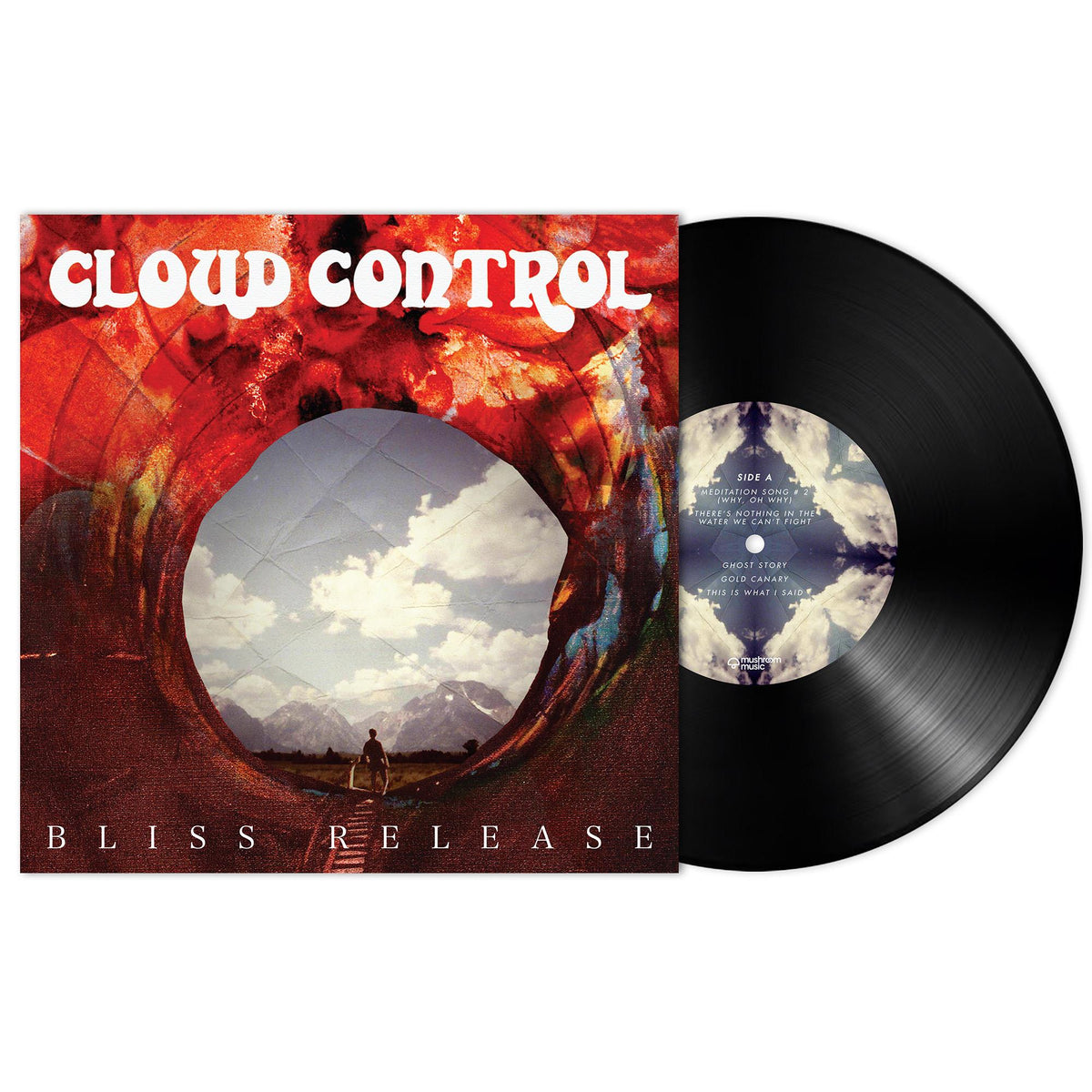 Cloud Control - Bliss Release - 15th Anniversary Edition Bio-Vinyl LP Record [ vinyl ]