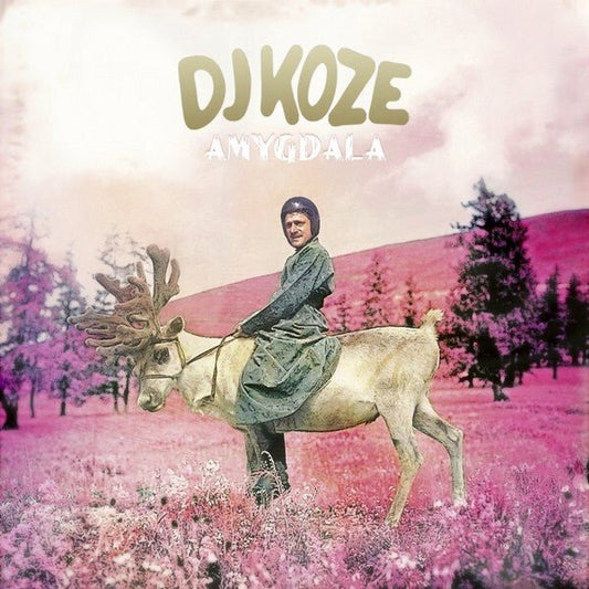 DJ Koze - Amygdala - Vinyl LP Record [ vinyl ]