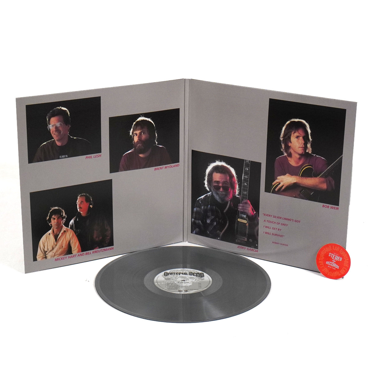Grateful Dead: In The Dark (Colored Vinyl) Vinyl LP