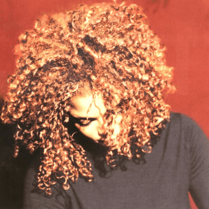 Janet Jackson - The Velvet Rope - Vinyl LP Record [ vinyl ]