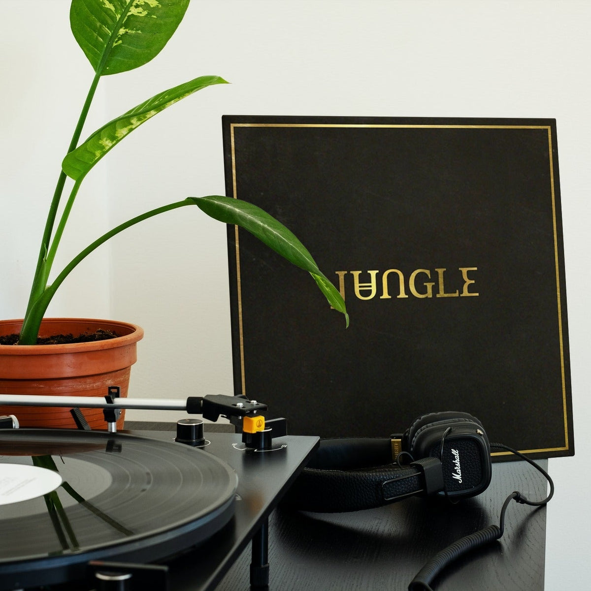 Jungle - Jungle - Vinyl LP Record [ vinyl ]