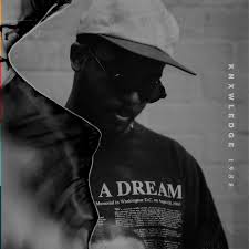 Knxwledge - 1988 - Orchid & Black Vinyl LP Record [ vinyl ]