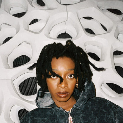 Little Simz - No Thank You (Vinyl) [ vinyl ]