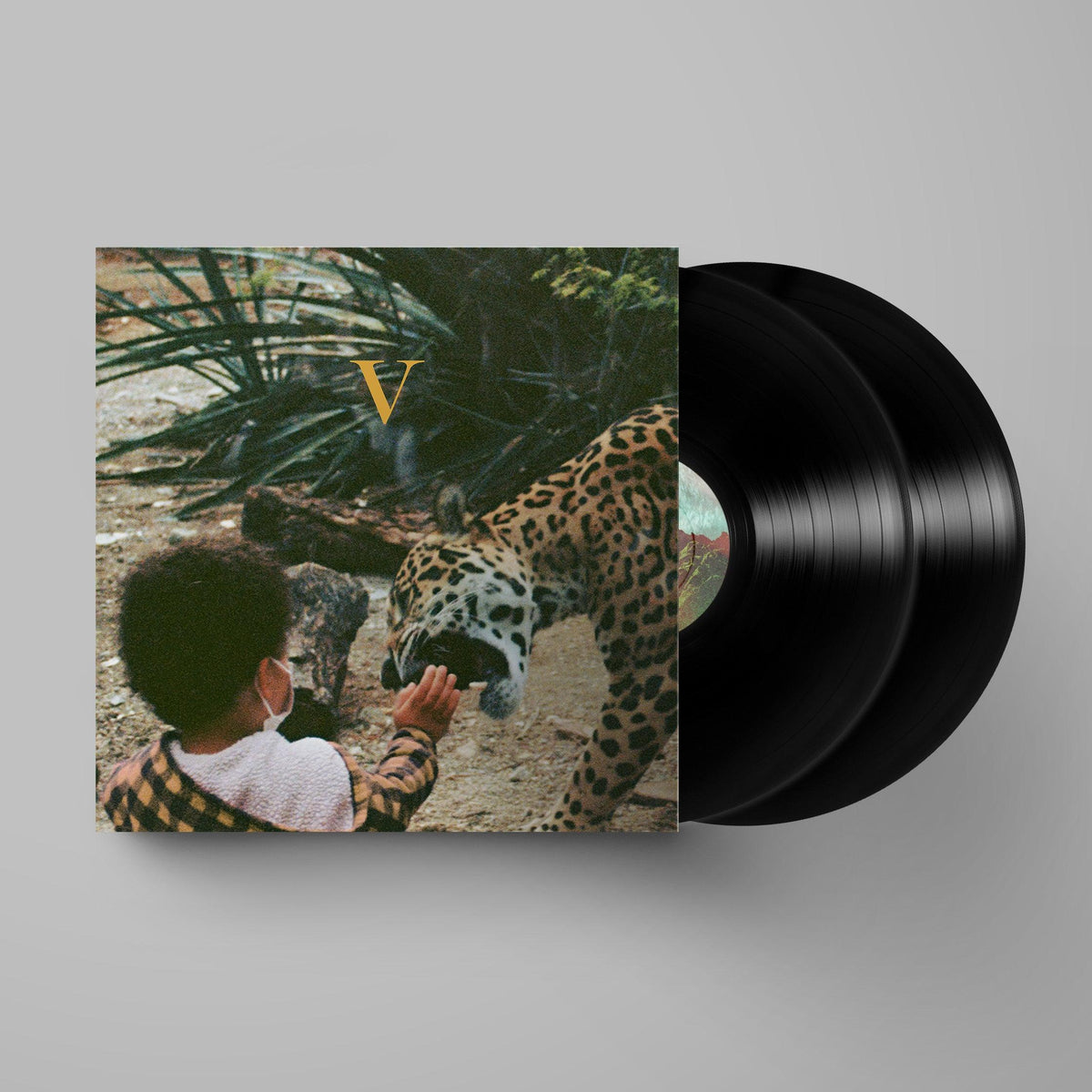 Unknown Mortal Orchestra- V (Vinyl) [ vinyl ]