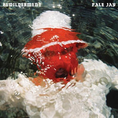 Pale Jay - Bewilderment - Vinyl LP Record [ vinyl ]