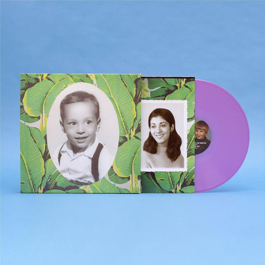 Sufjan Stevens - Carrie & Lowell - 10th Anniversary Violet Vinyl LP Record [ vinyl ]