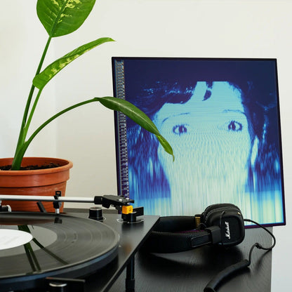 The Avalanches - We Will Always Love You - Vinyl LP Record [ vinyl ]