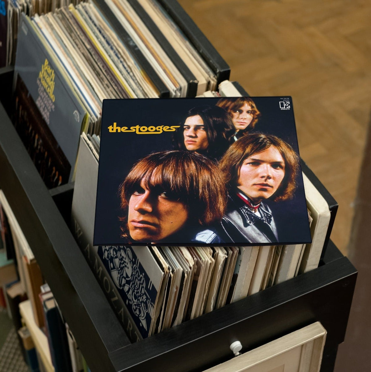 The Stooges - The Stooges - Limited Edition Coloured Vinyl LP Record [ vinyl ]