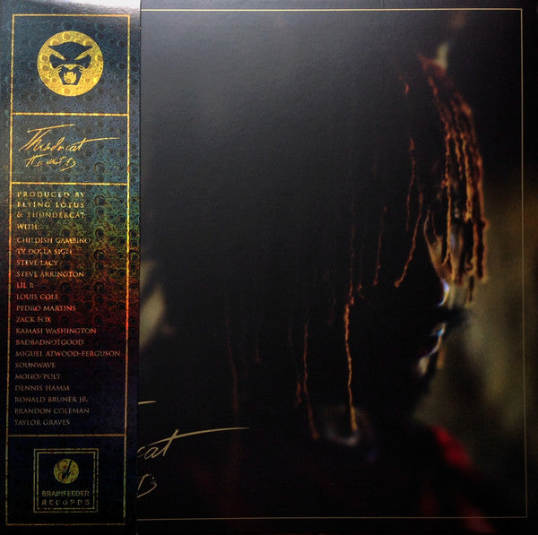 Thundercat – It Is What It Is (Vinyl) [ vinyl ]