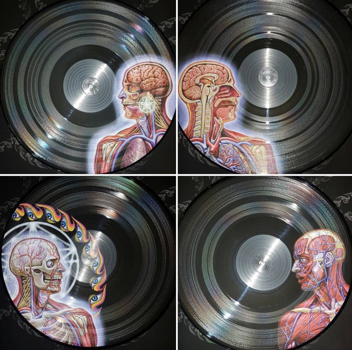 Tool - Lateralus - Limited Edition Picture Disc Vinyl LP Record [ vinyl ]